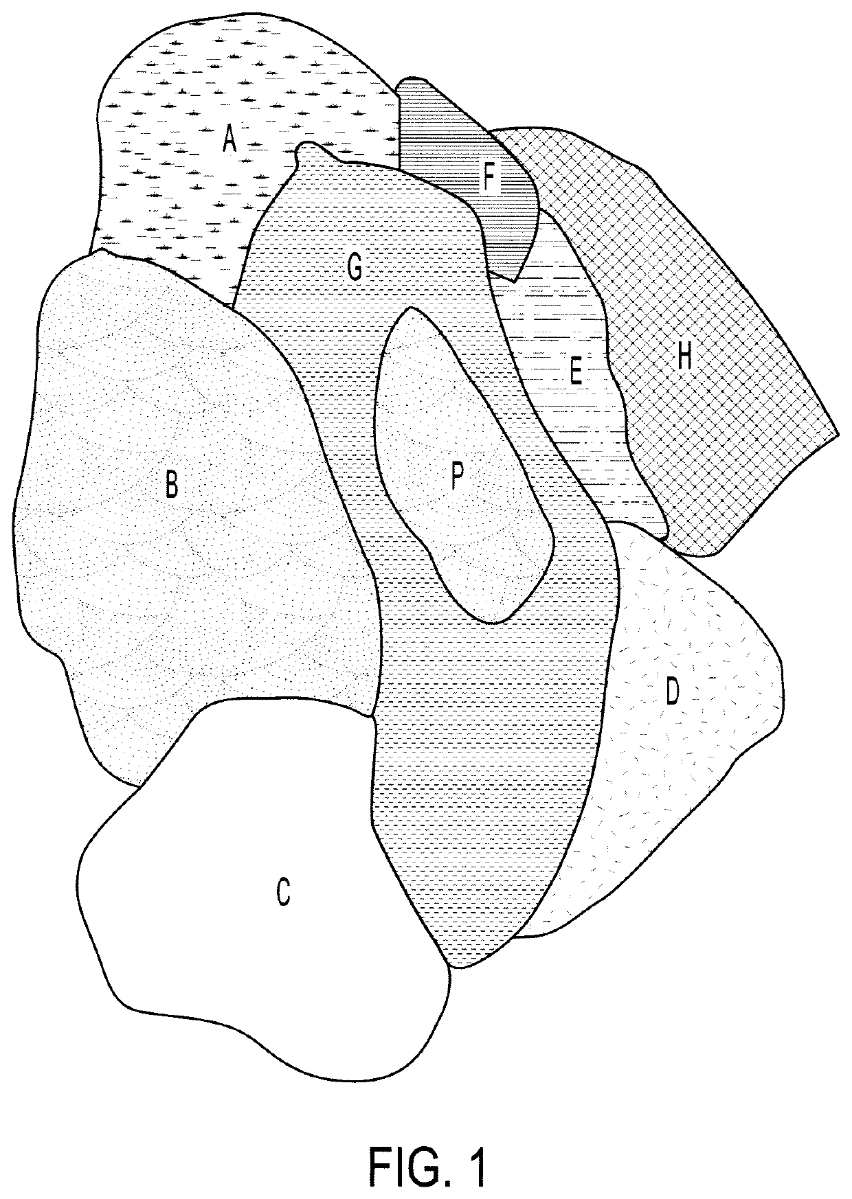 Method and system for qualitative reasoning of spatio-temporal physical systems