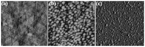 A Surface Plasmon Resonance Sensor Chip for Gram-negative Bacteria Detection
