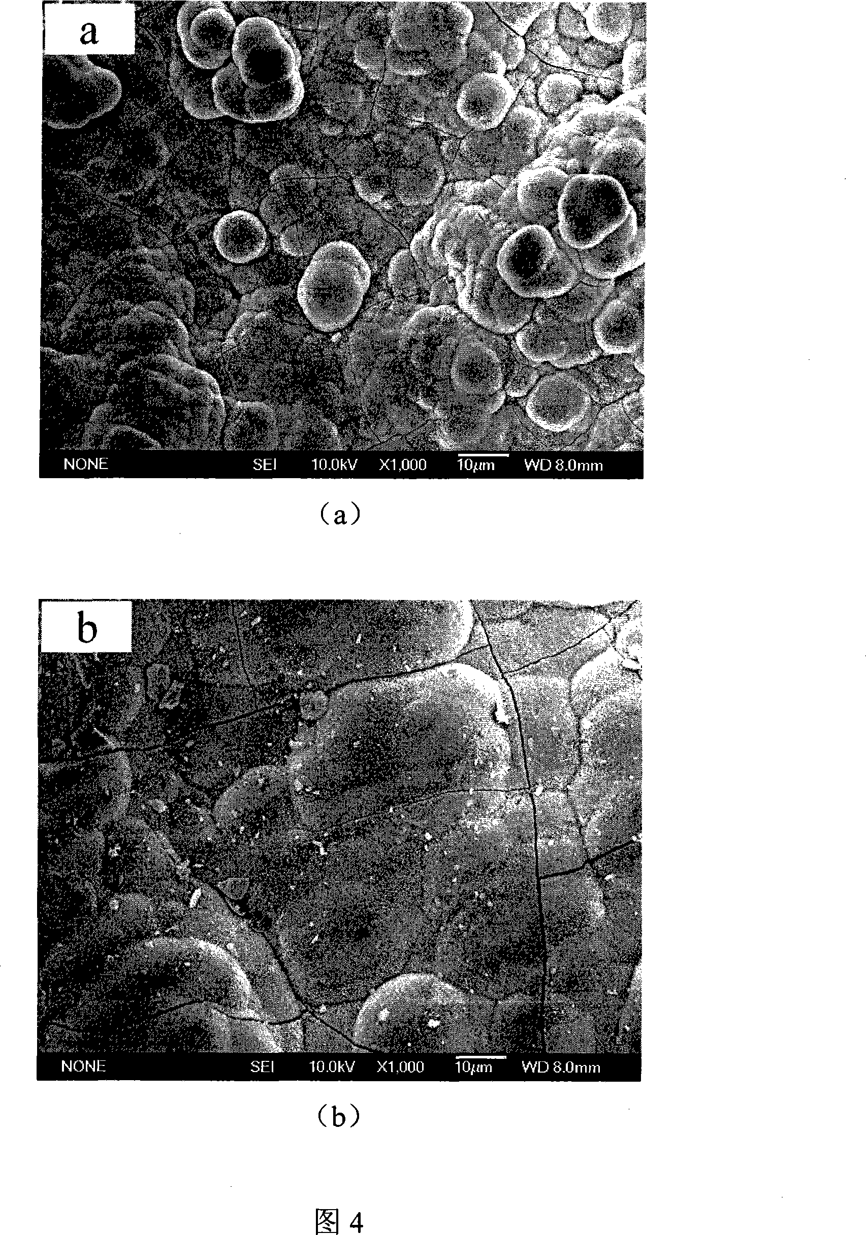Stable pure monocline zirconium oxide coating in low-temperature, production method and application thereof