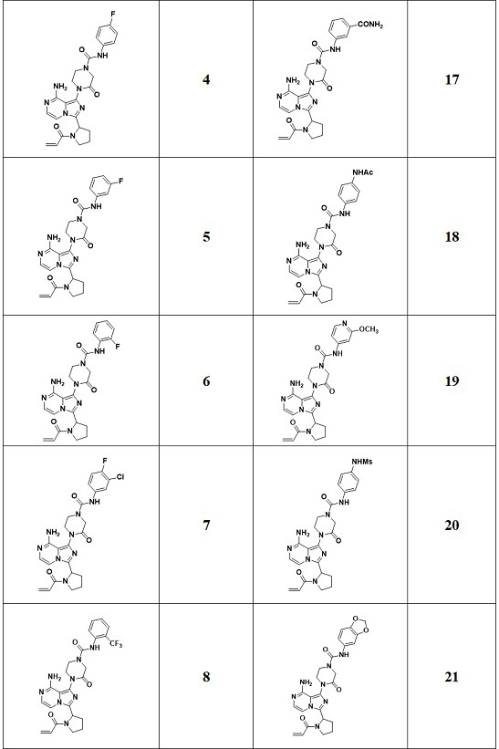 An imidazo[1,5-a]pyrazin-8-amine compound, preparation method, pharmaceutical composition and application