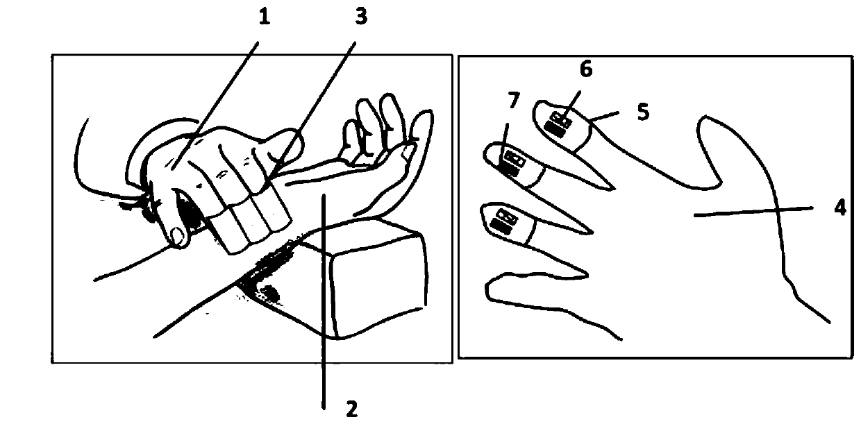 Flexible electronic finger stall system for assisting pulse feeling and pulse feeling method