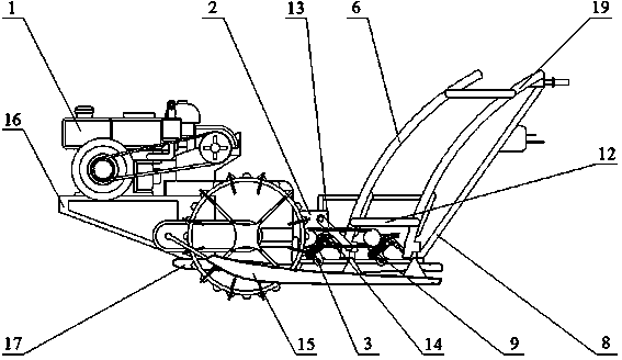 Walking type male parent rice transplanting machine for use in hybrid rice seed production and method of machine