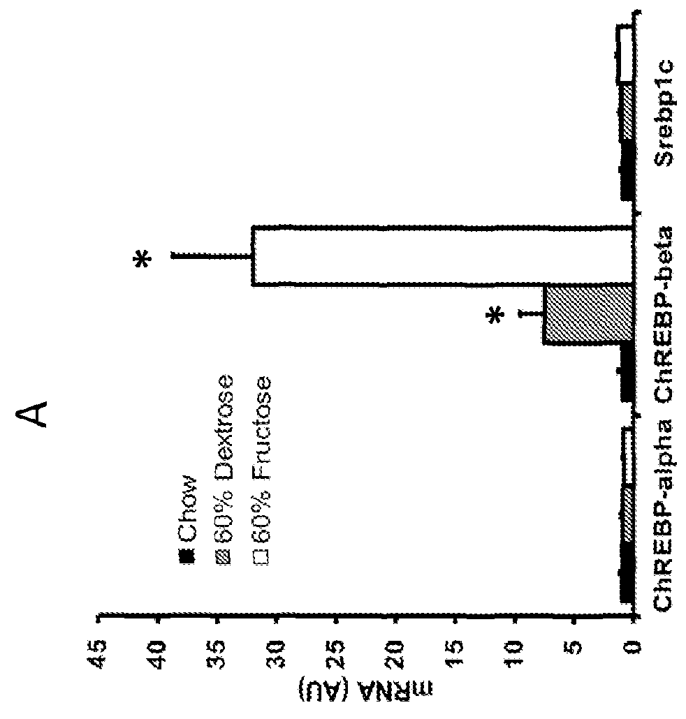 Measurement Of FGF21 As A Biomarker Of Fructose Metabolism And Metabolic Disease