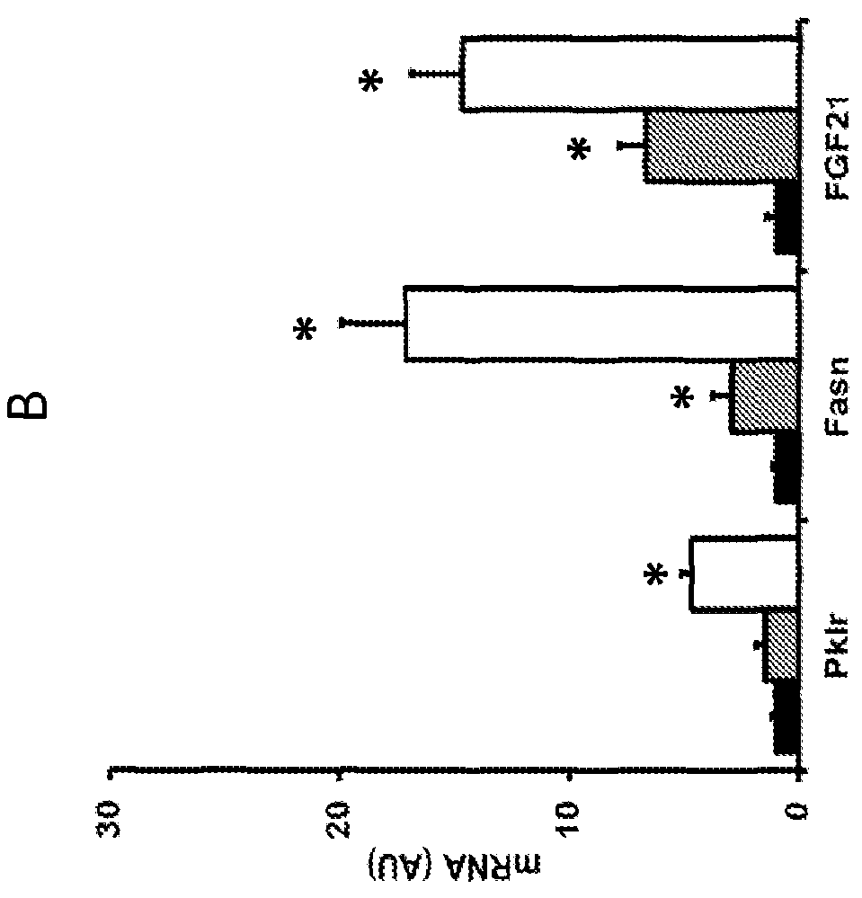 Measurement Of FGF21 As A Biomarker Of Fructose Metabolism And Metabolic Disease