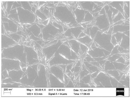 Method for synchronously preparing cellulose nanowhiskers and cellulose nanofibrils