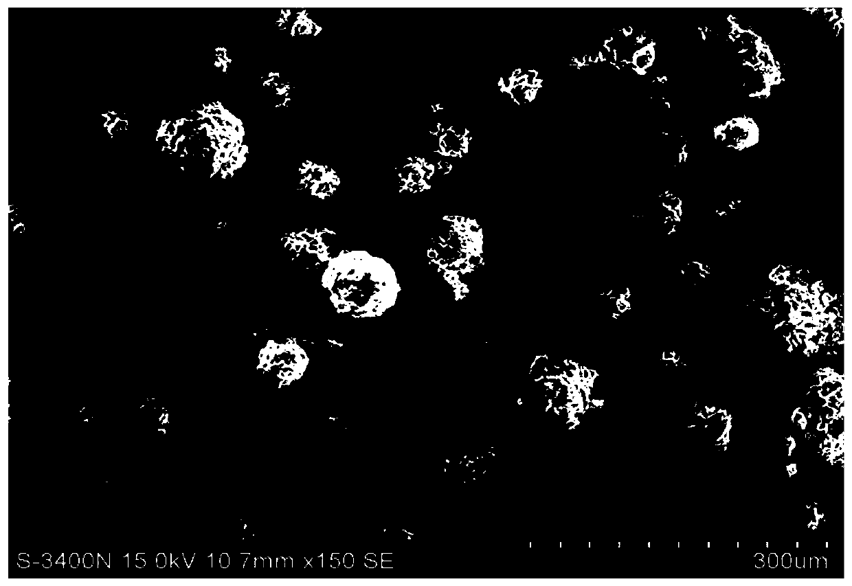 A kind of composite sustained-release essence microcapsule and preparation method thereof