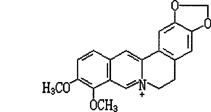 Berberine imidacloprid water agent