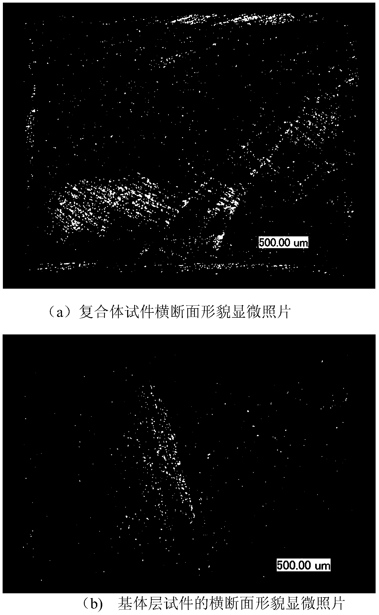 Testing method for testing density of coating