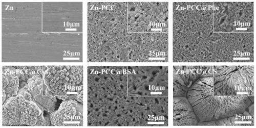 Organic-inorganic composite flower-like coating and preparation method thereof