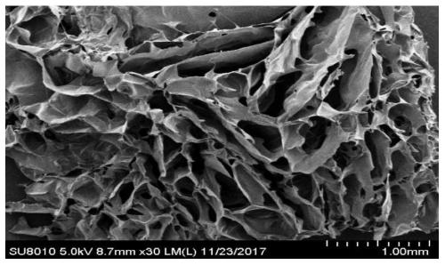 A kind of biodegradable high-strength polyetherester type polyurethane urea foam and preparation method thereof