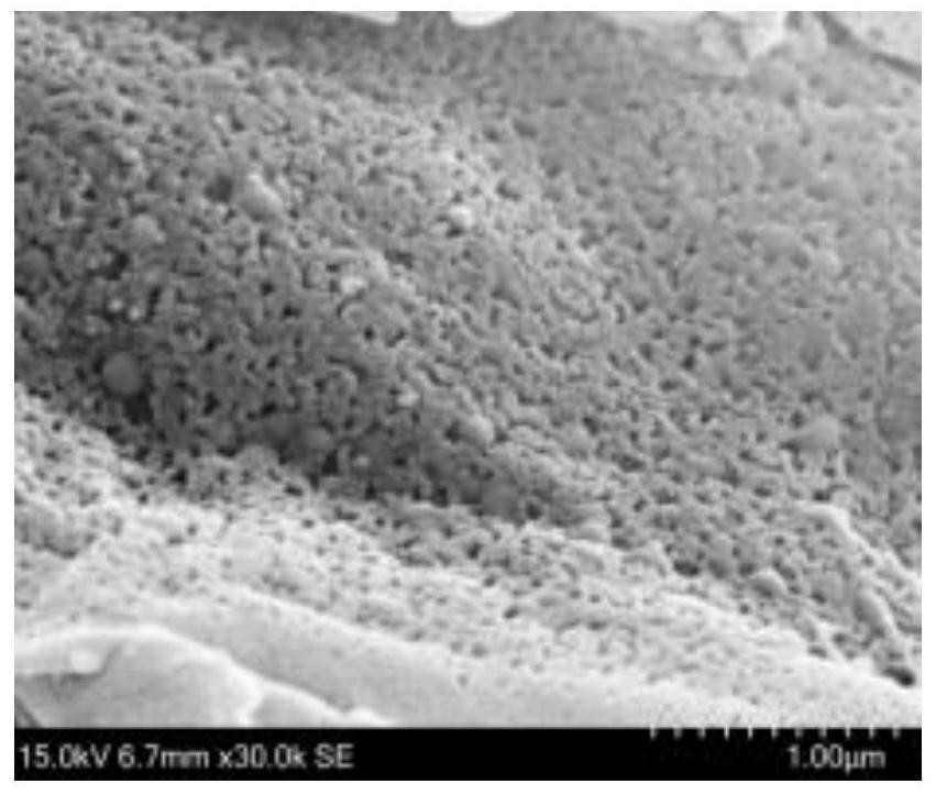 Hydrothermal deashing-self-water activation activated carbon preparation device