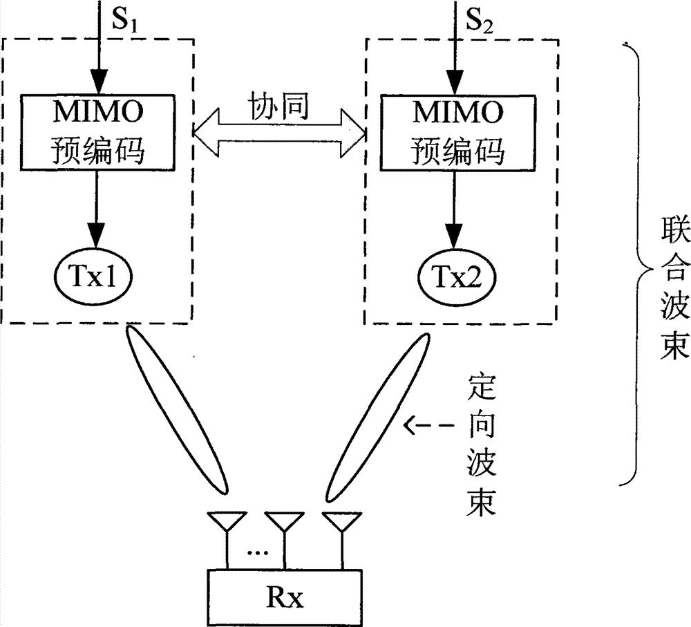 Cooperative transmission method based on united beam forming