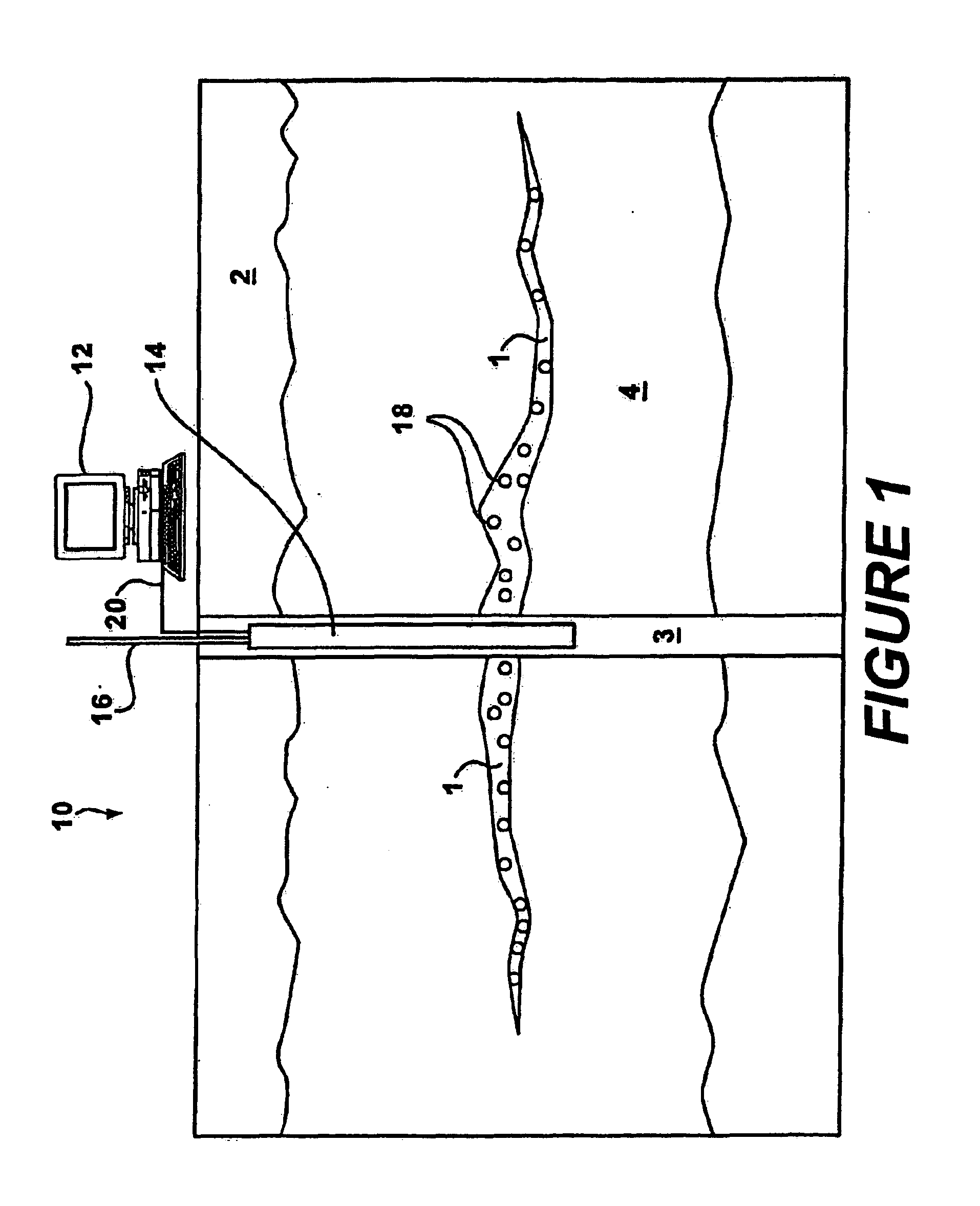 Method and system for determining parameters inside a subterranean formation using data sensors and a wireless ad hoc network