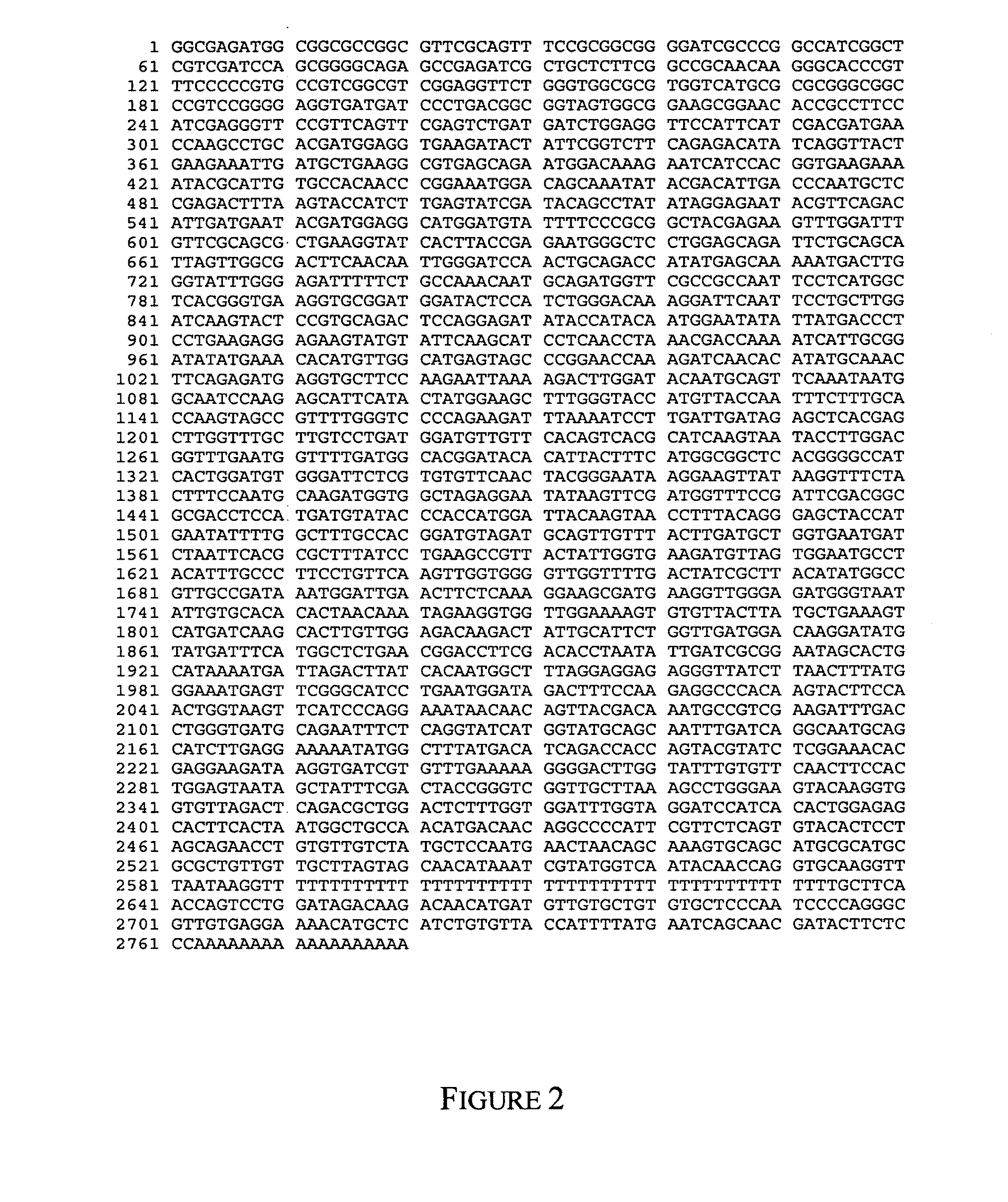 Barley with altered branching enzyme activity and starch and starch containing products with an increased amylose content