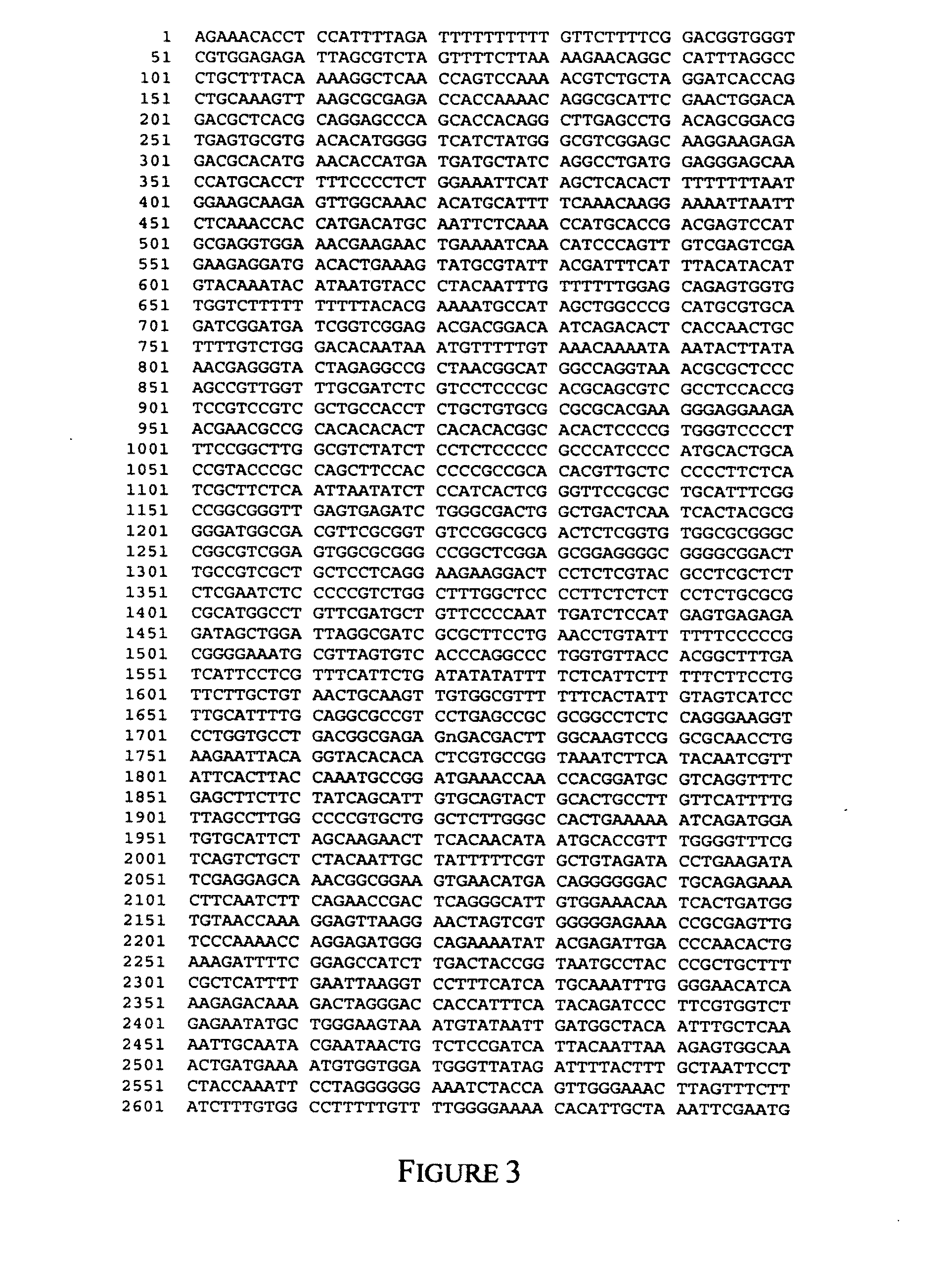 Barley with altered branching enzyme activity and starch and starch containing products with an increased amylose content