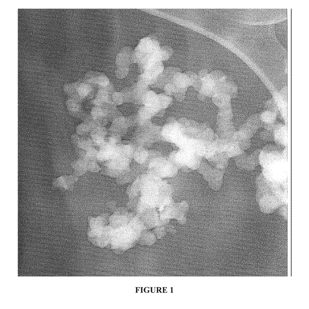 Composition comprising nucleated nanodiamond particles