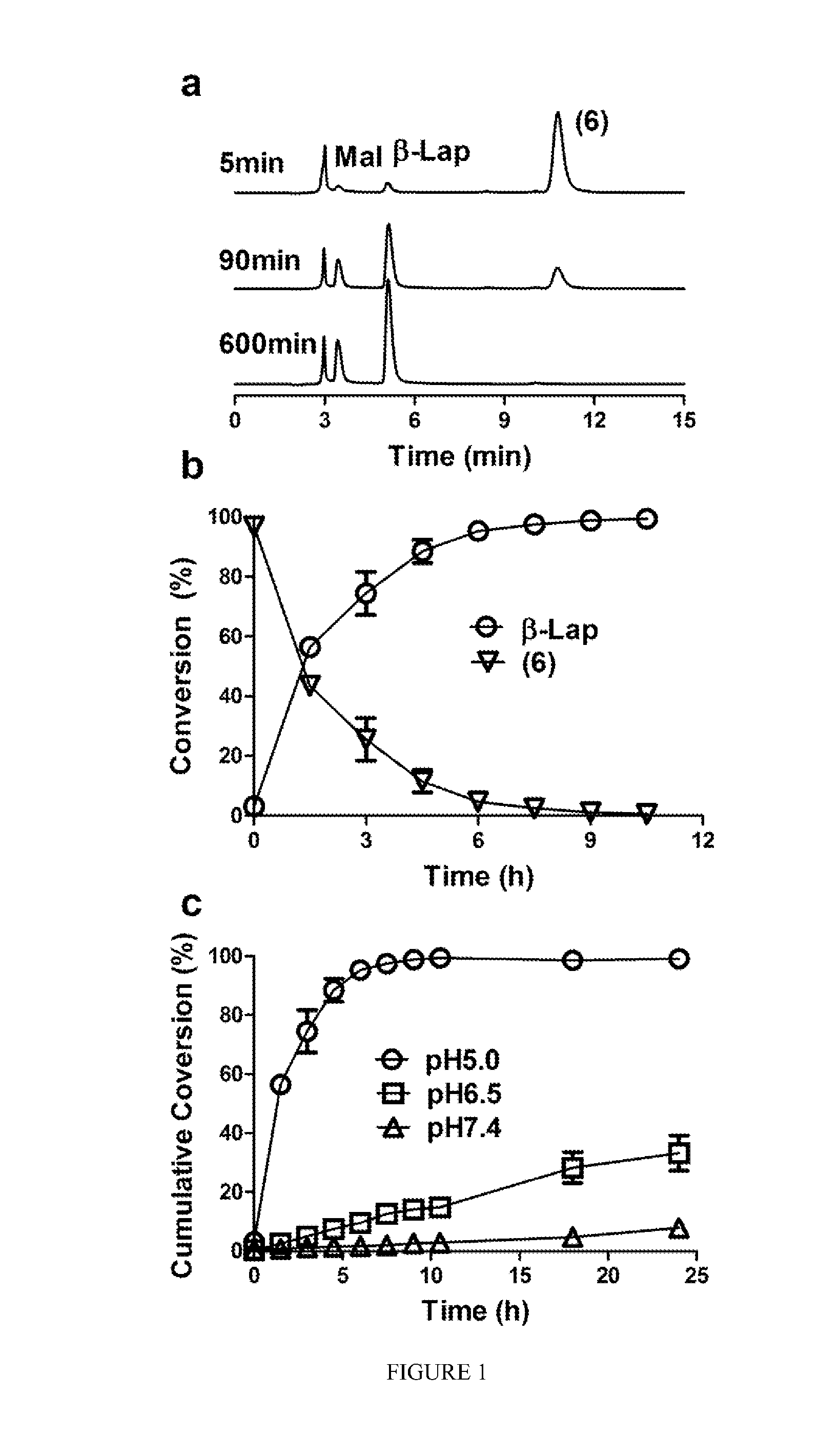 pH-SENSITIVE COMPOSITIONS FOR DELIVERY OF BETA LAPACHONE AND METHODS OF USE