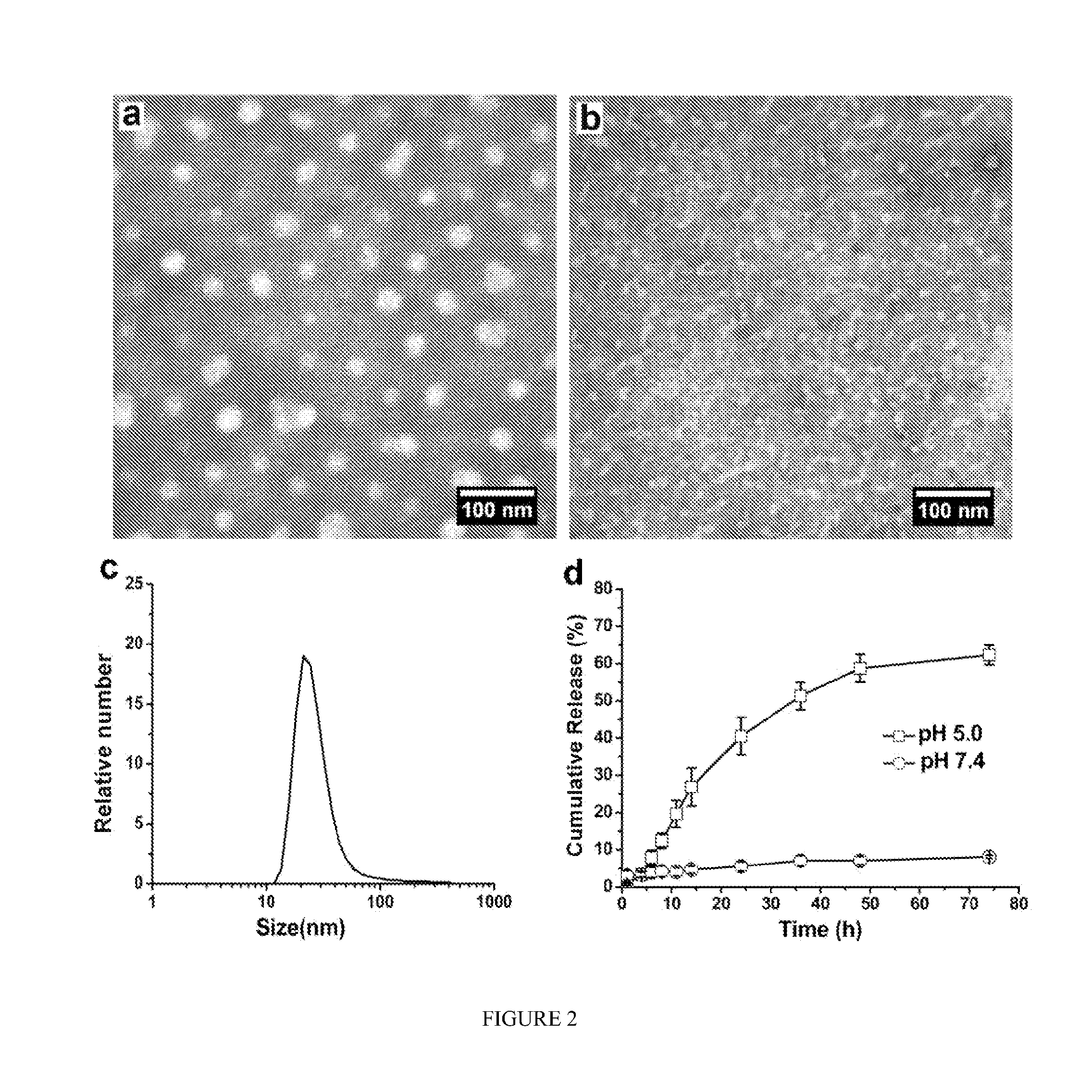 pH-SENSITIVE COMPOSITIONS FOR DELIVERY OF BETA LAPACHONE AND METHODS OF USE