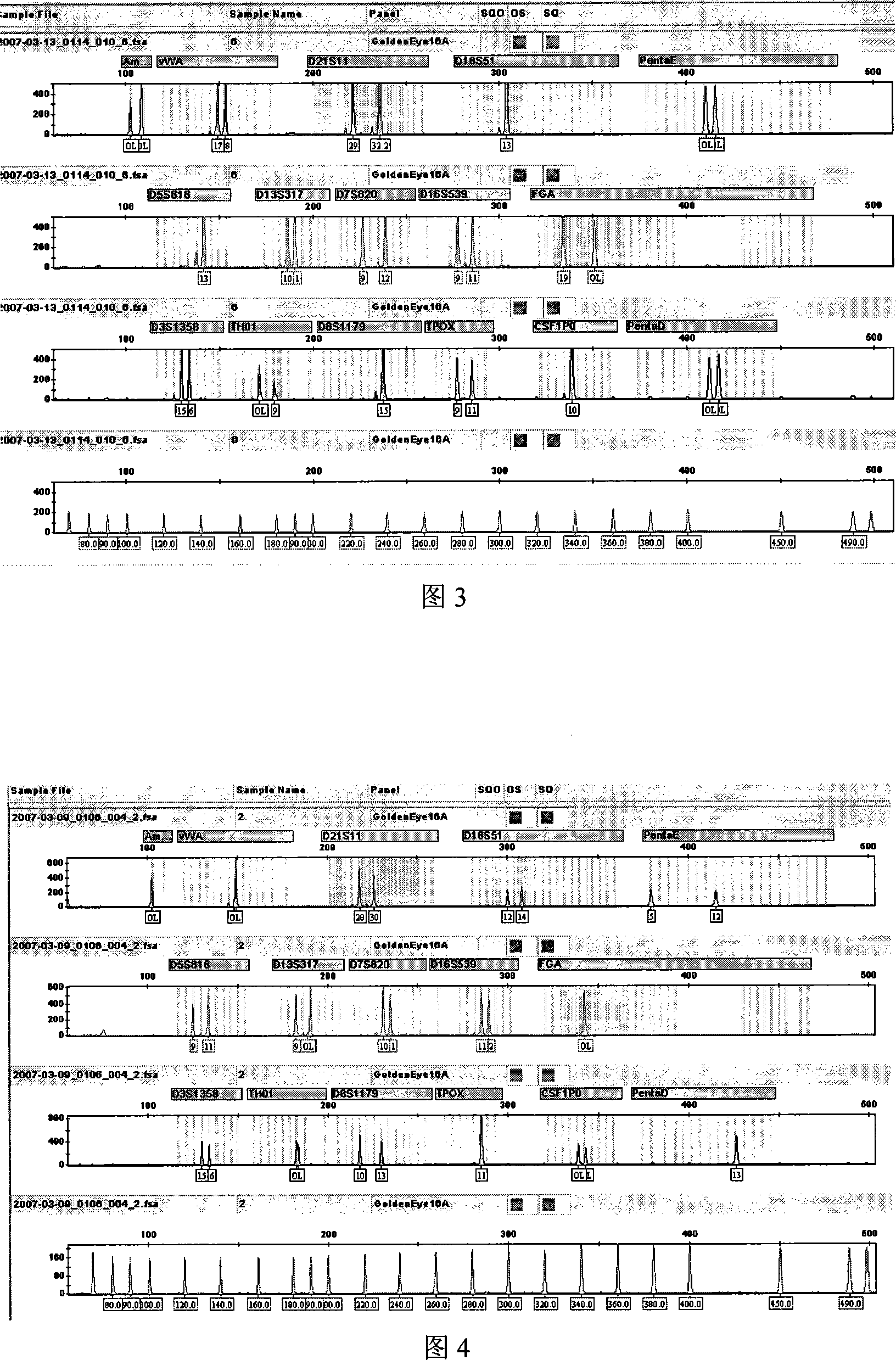 Blood DNA conserving card and method for making the same