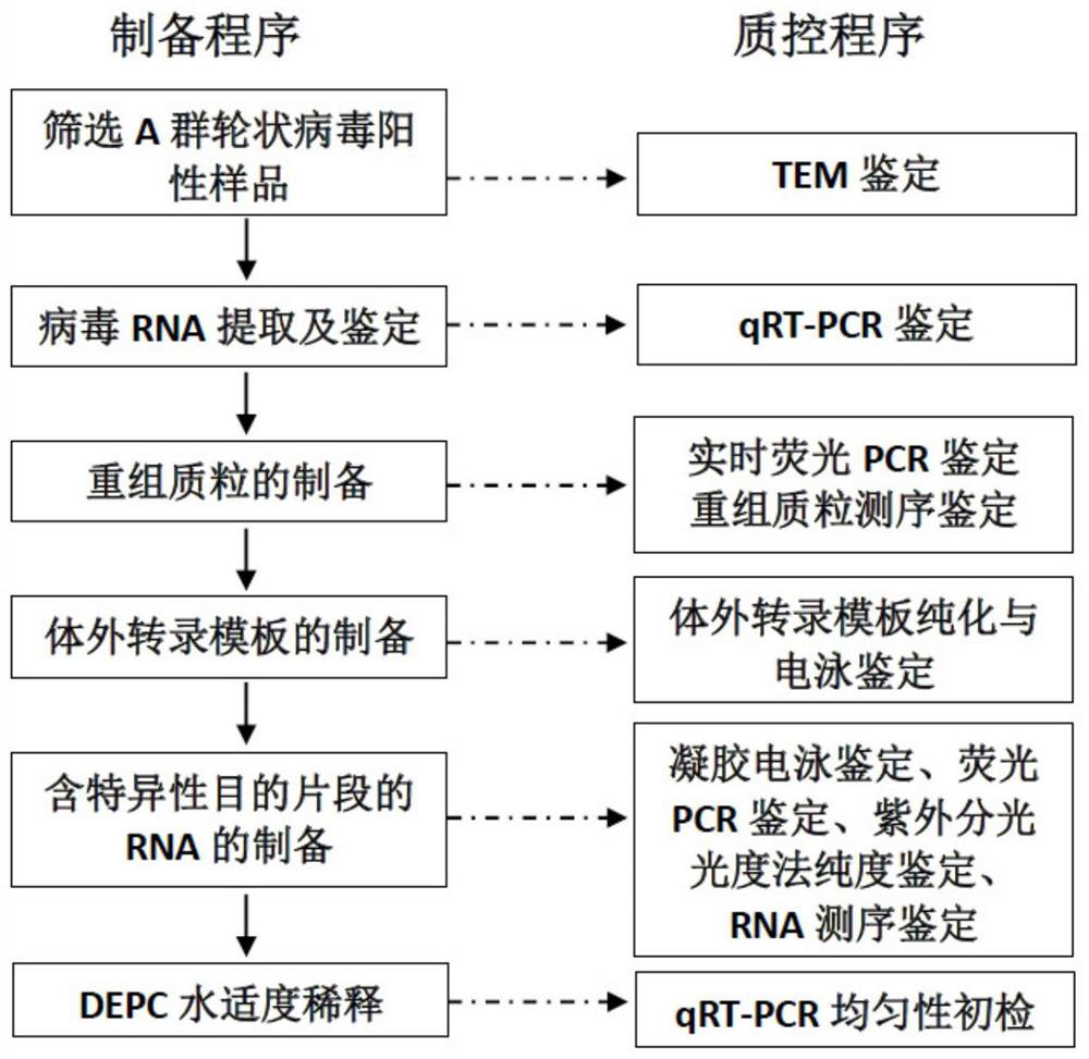 A kind of group A rotavirus nucleic acid detection standard substance and its preparation method and application