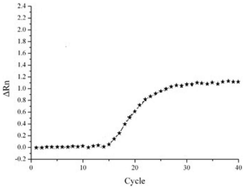 A kind of group A rotavirus nucleic acid detection standard substance and its preparation method and application