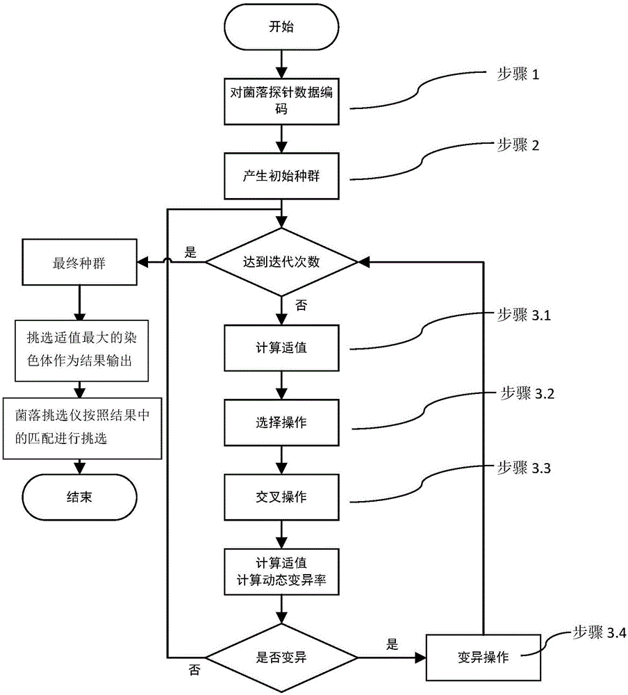 Colony selecting throughout improving method