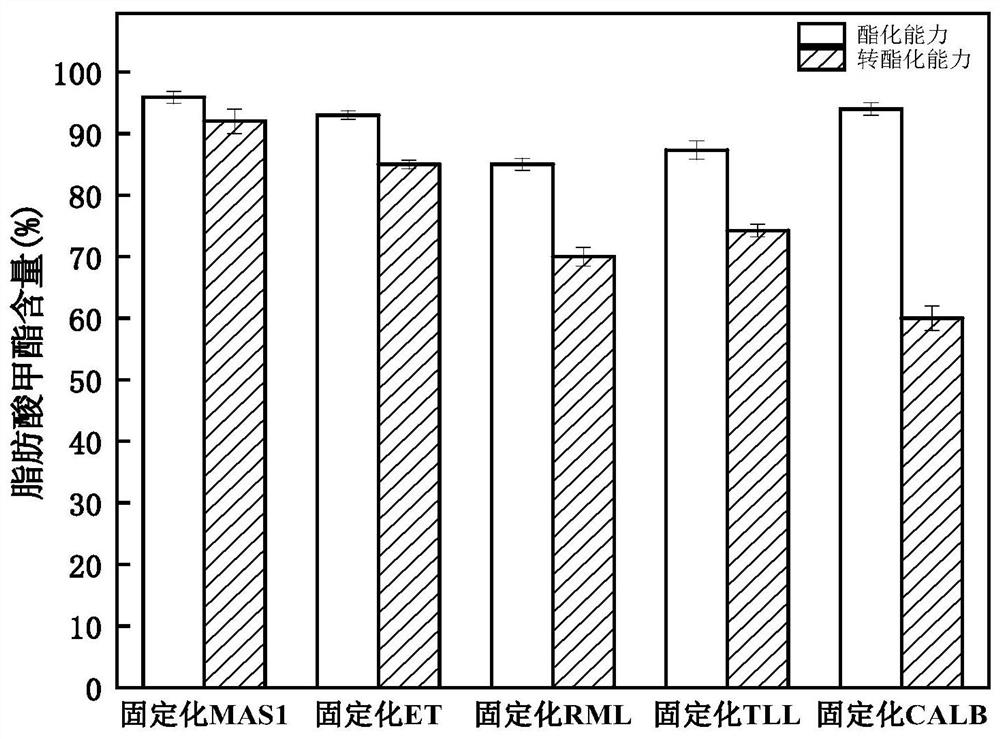 Immobilized lipase as well as preparation method and application thereof in biodiesel