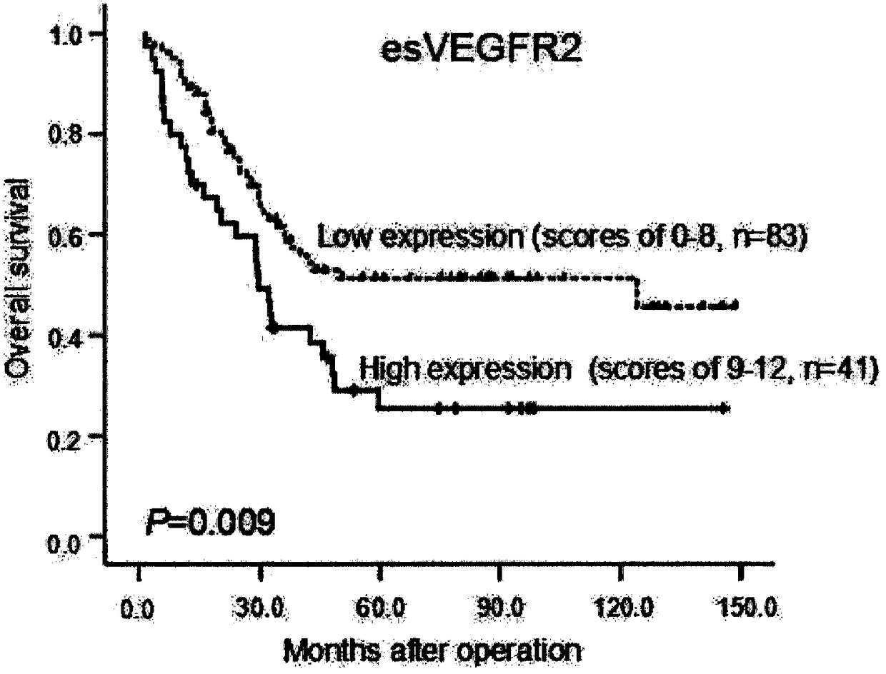 CD105, esvegr2 and myc triple protein joint prediction kit for the prognosis of patients with esophageal squamous cell carcinoma