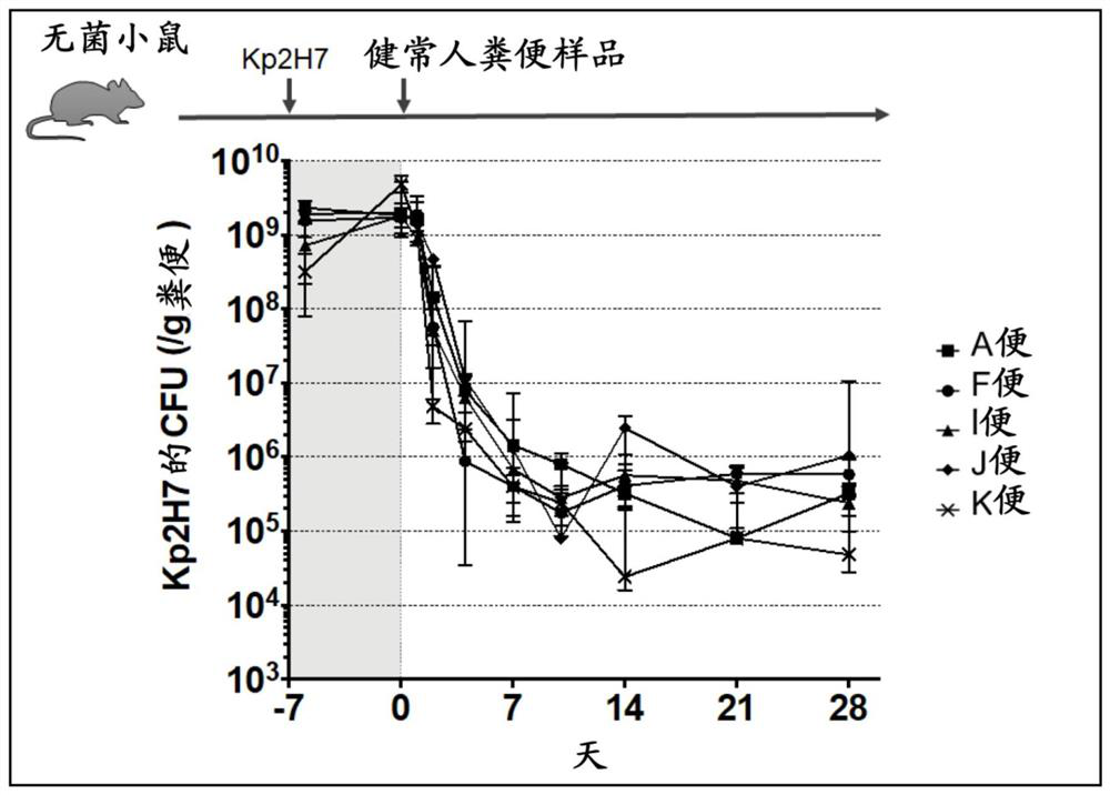 Antibacterial composition against drug-resistant bacteria or pro-inflammatory bacteria