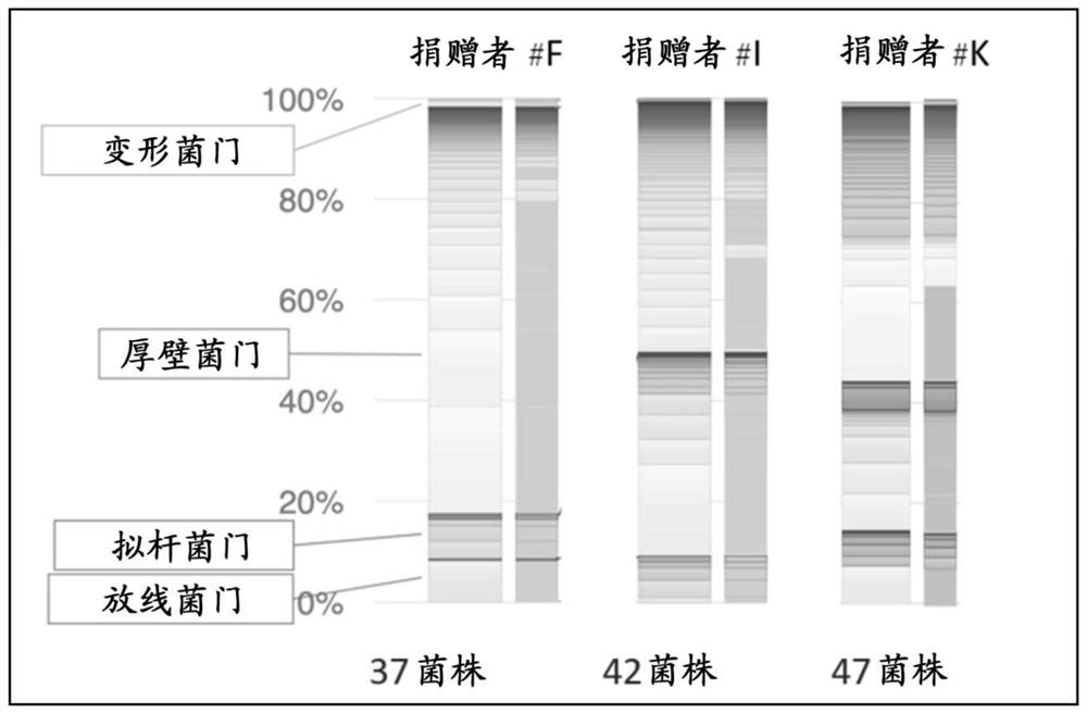 Antibacterial composition against drug-resistant bacteria or pro-inflammatory bacteria