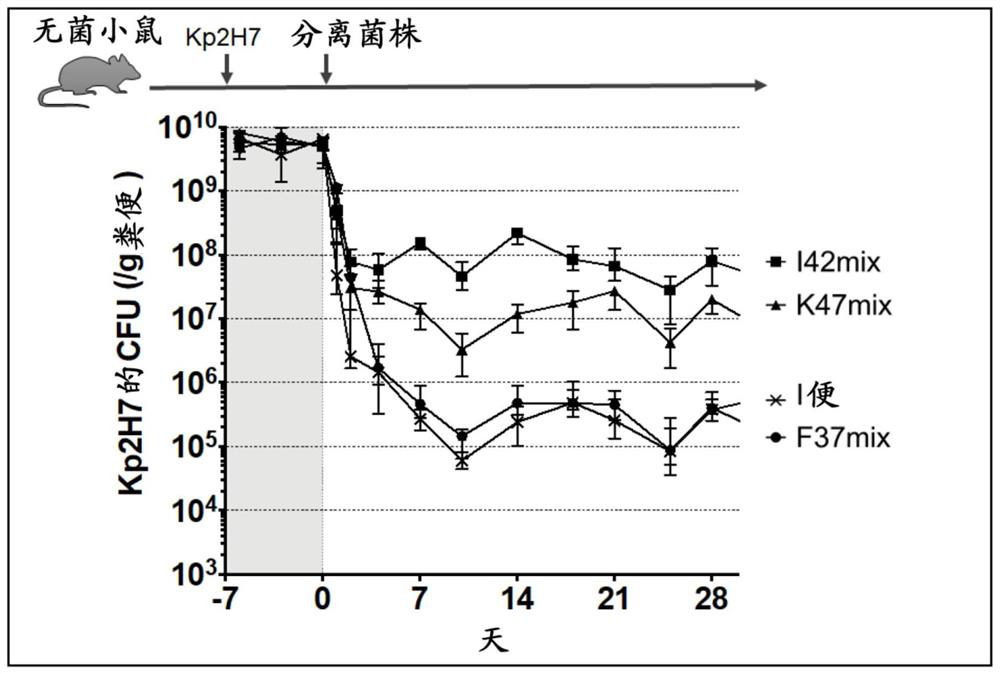 Antibacterial composition against drug-resistant bacteria or pro-inflammatory bacteria