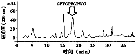 Application of a horse-faced puffer fish skin zinc chelating peptide