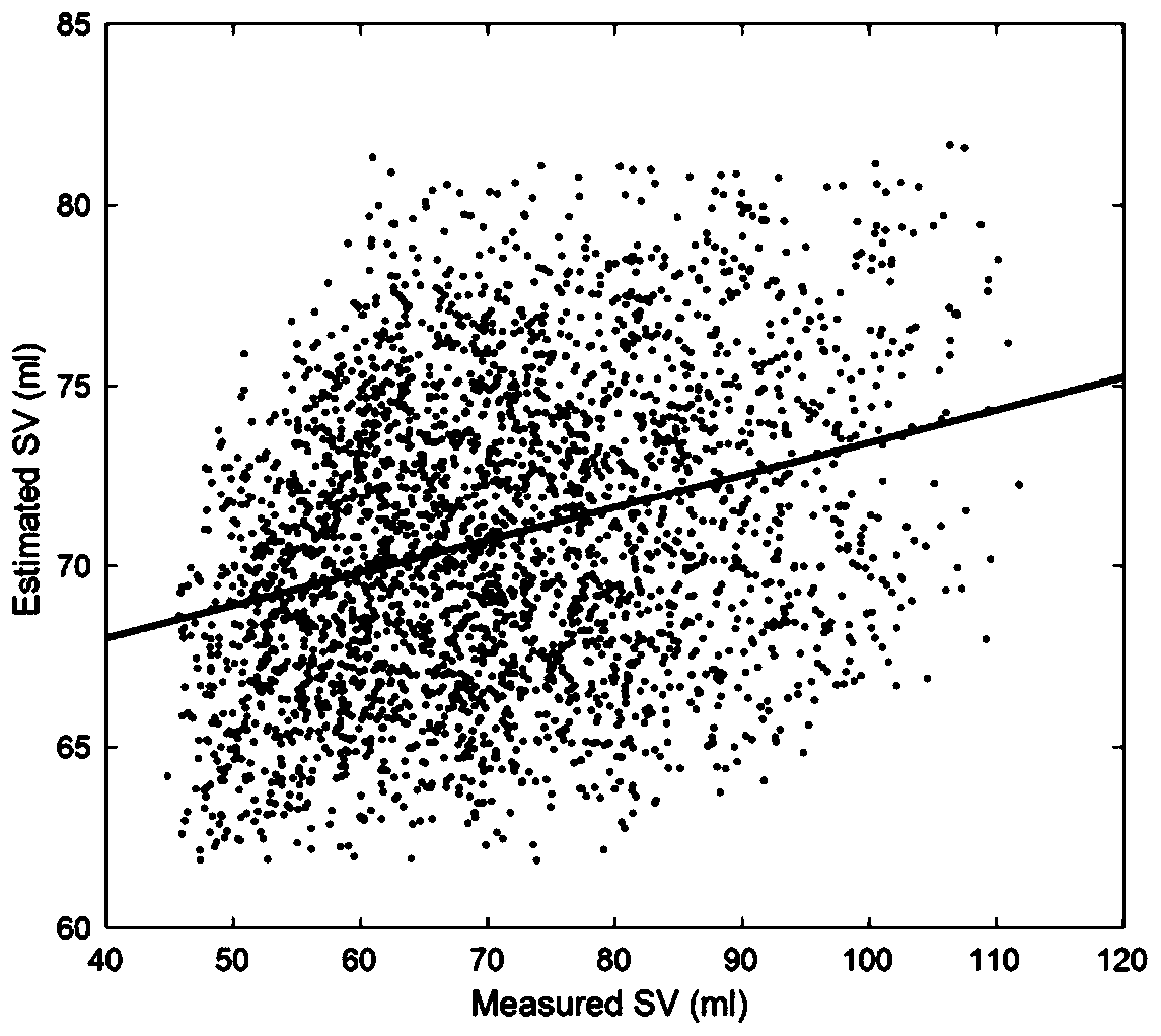 Noninvasive measurement system and method for individualized cardiac output