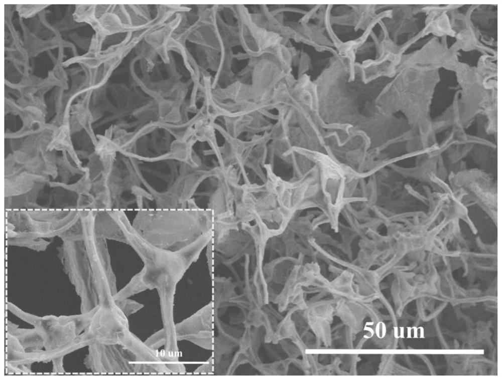 MXene/nitrogen-doped carbon foam composite material with 3D porous neuron-like structure and its preparation method