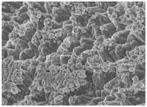 Surface treatment agent capable of improving corrosion resistance of electrolytic copper foil