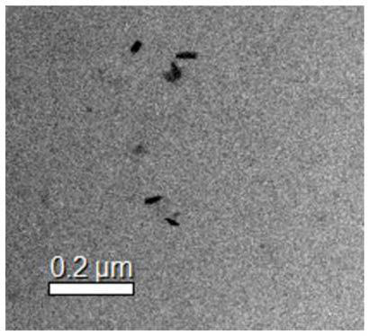 Novel nano-composite, preparation method thereof and application of novel nano-composite in sewage detection