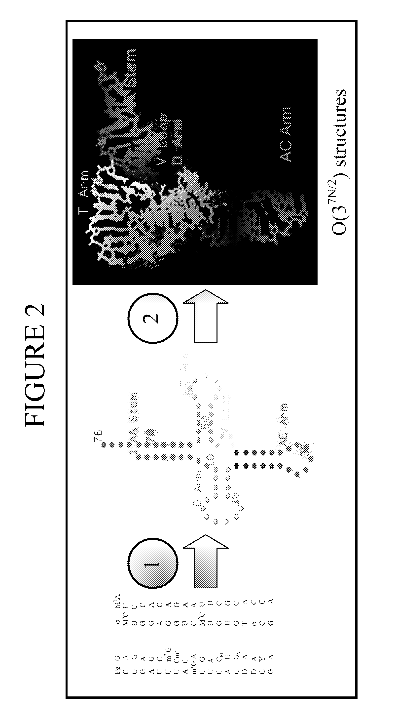 System and methods for three dimensional molecular structural analysis