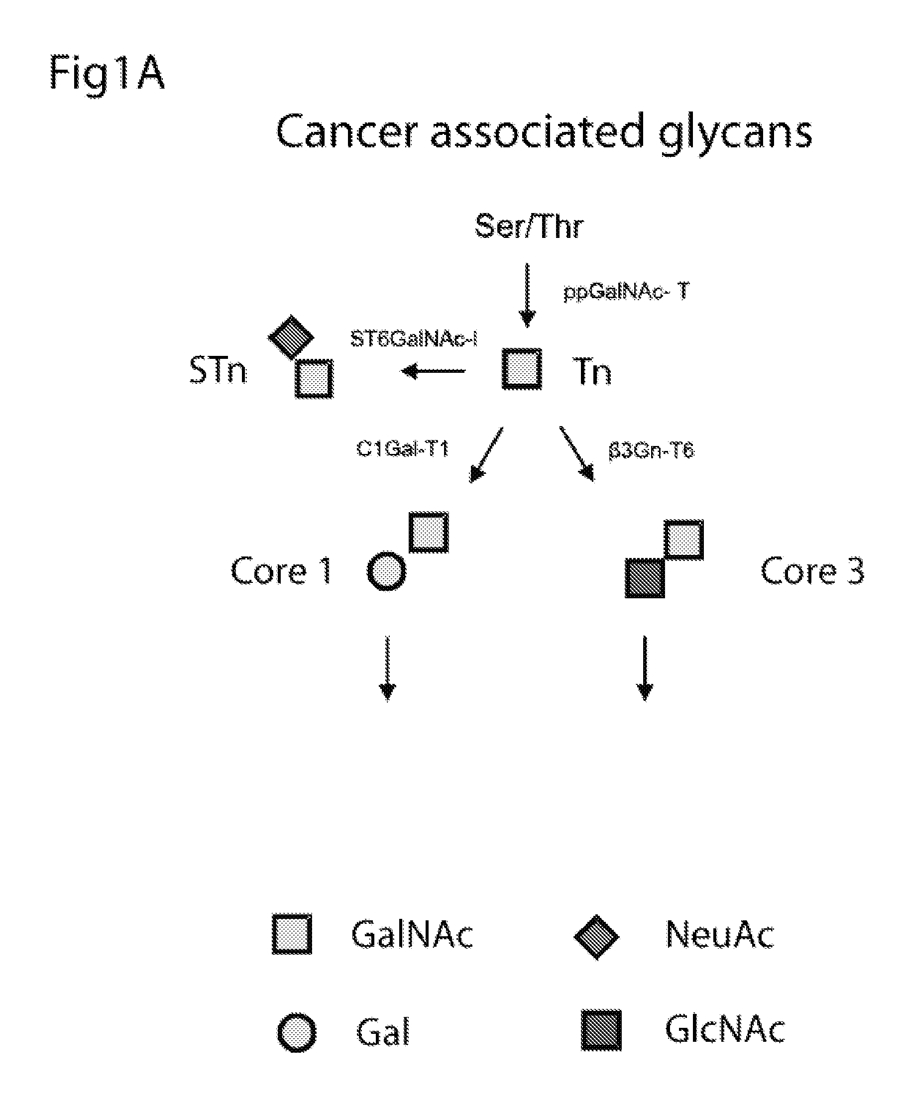 Method for early detection of cancer