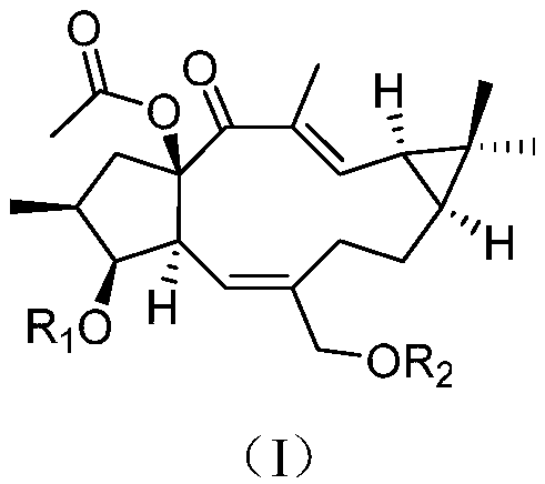 Lathyrane compound and extraction method and application thereof