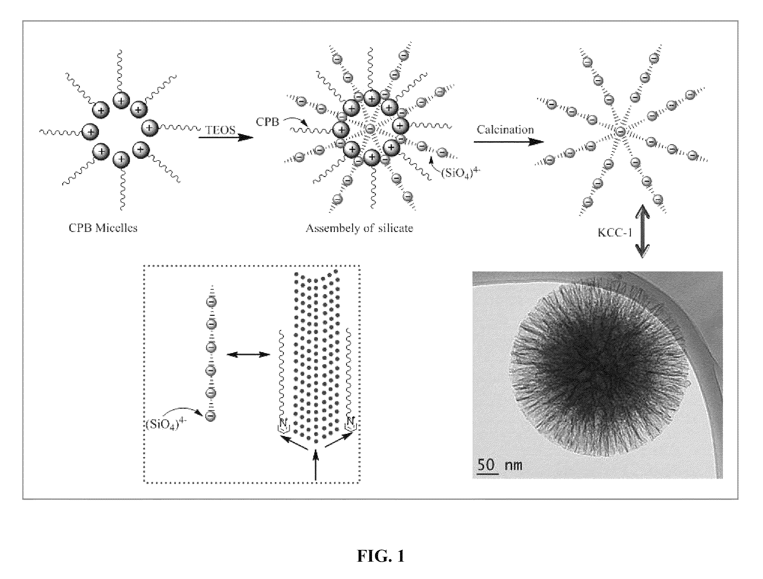 High surface area fibrous silica nanoparticles