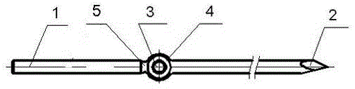 Bone spicule structure