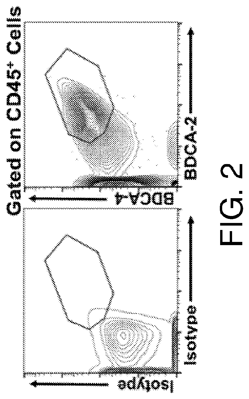 Adoptive transfer of plasmacytoid dendritic cells to prevent or treat ocular diseases and conditions