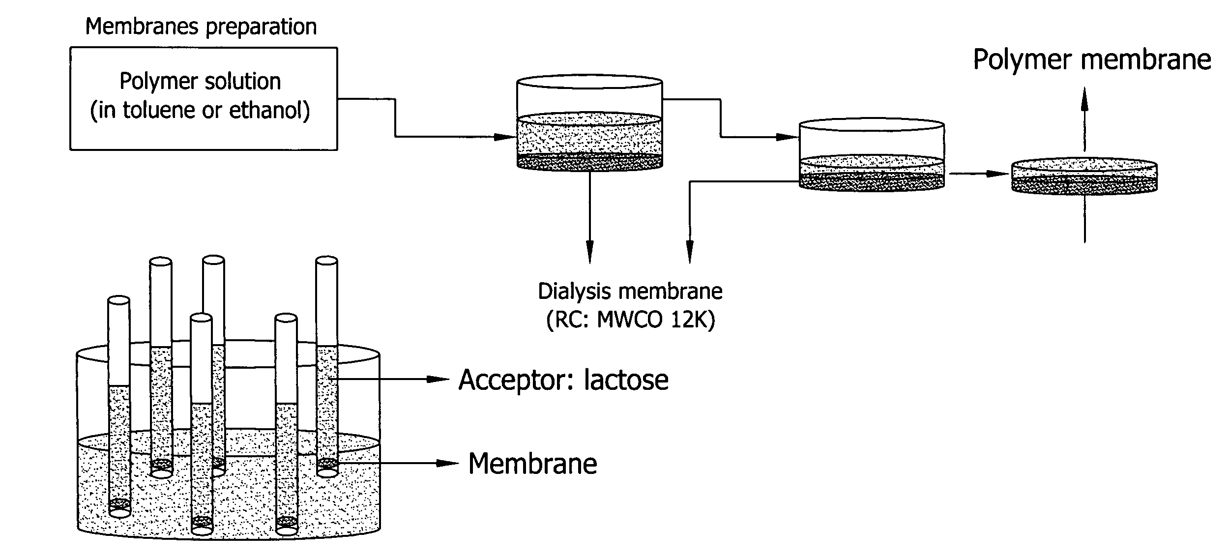 Ion binding polymers and uses thereof