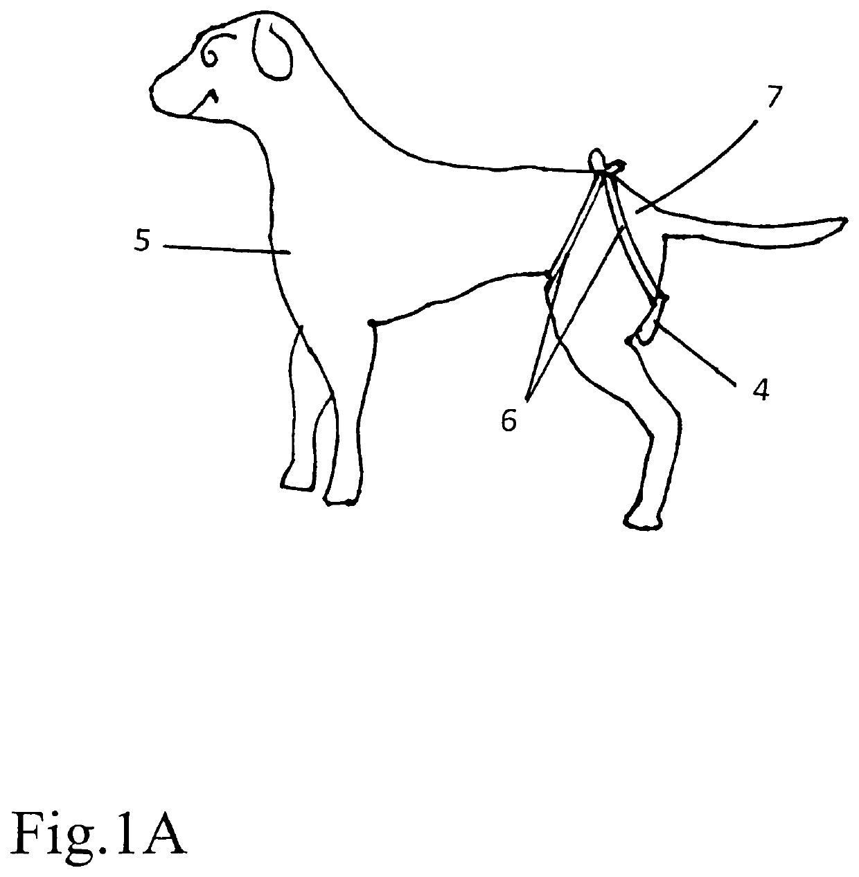 Animal urine and specimen collection device