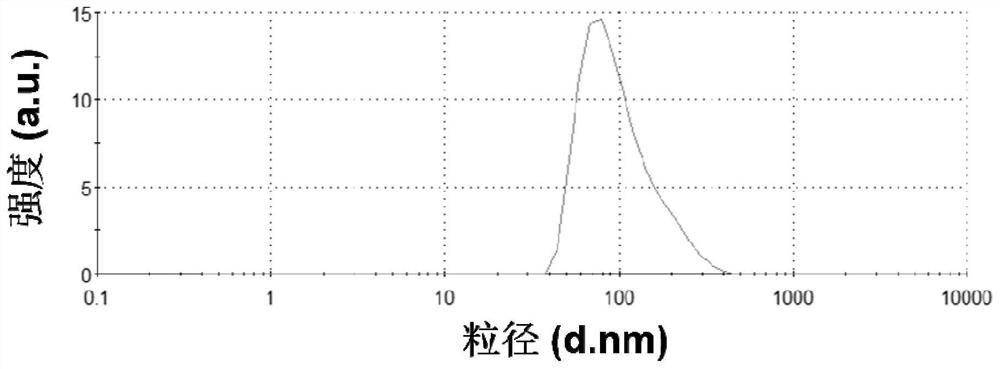 Preparation method and application of tripterine nanomedicine coated with hyaluronic acid