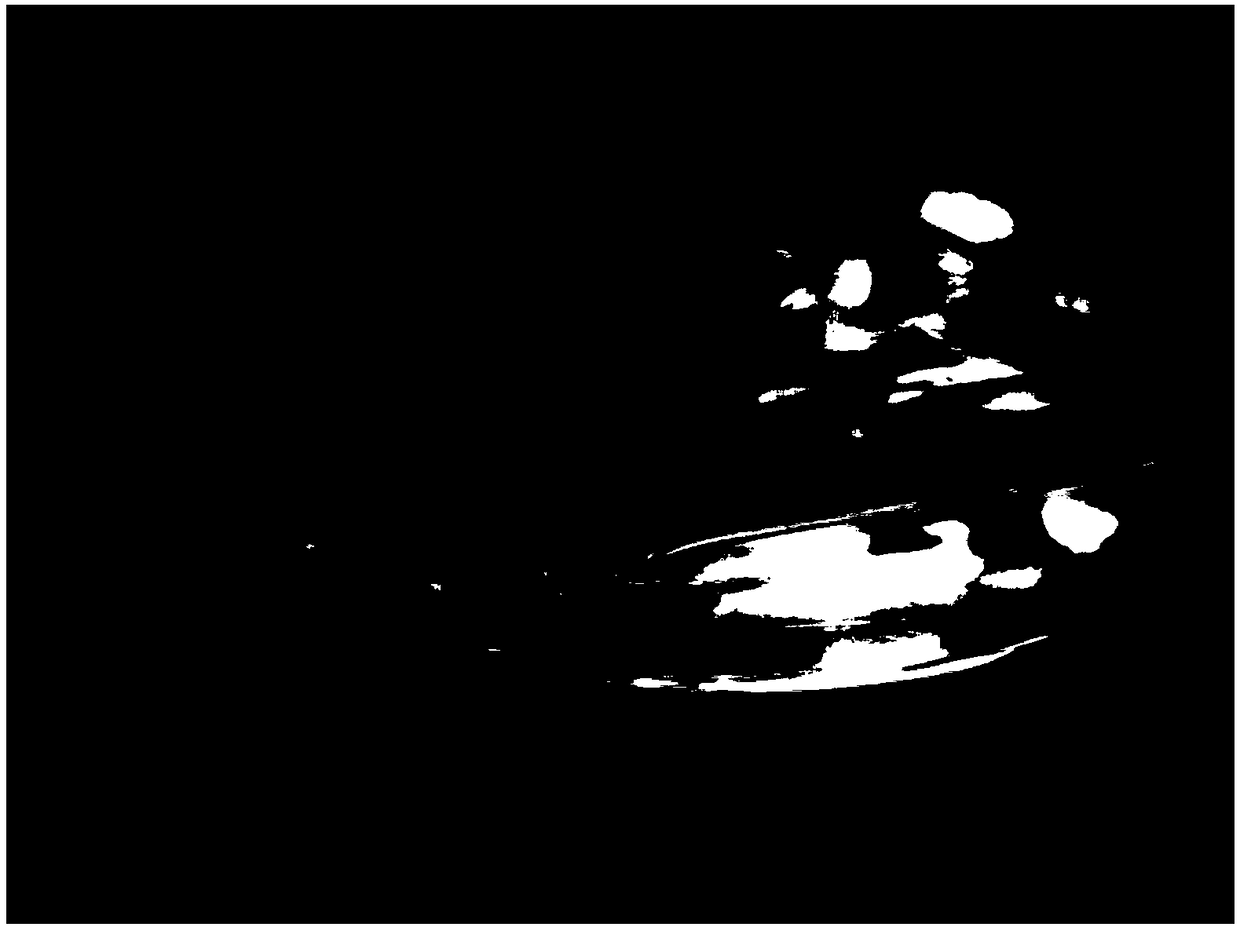 Medium and method for rapid propagation of offspring rescued by medicinal wild rice embryos