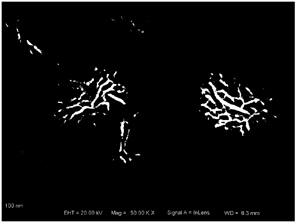 Preparation method for carbon-tantalum co-doped bismuth oxychloride powder