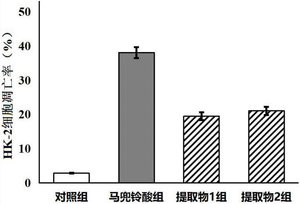 Extract enriched in benzopyran lactone as well as preparation method and medical application of extract
