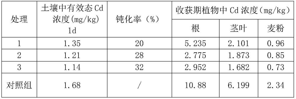 A kind of compound passivator of cadmium polluted soil and its application