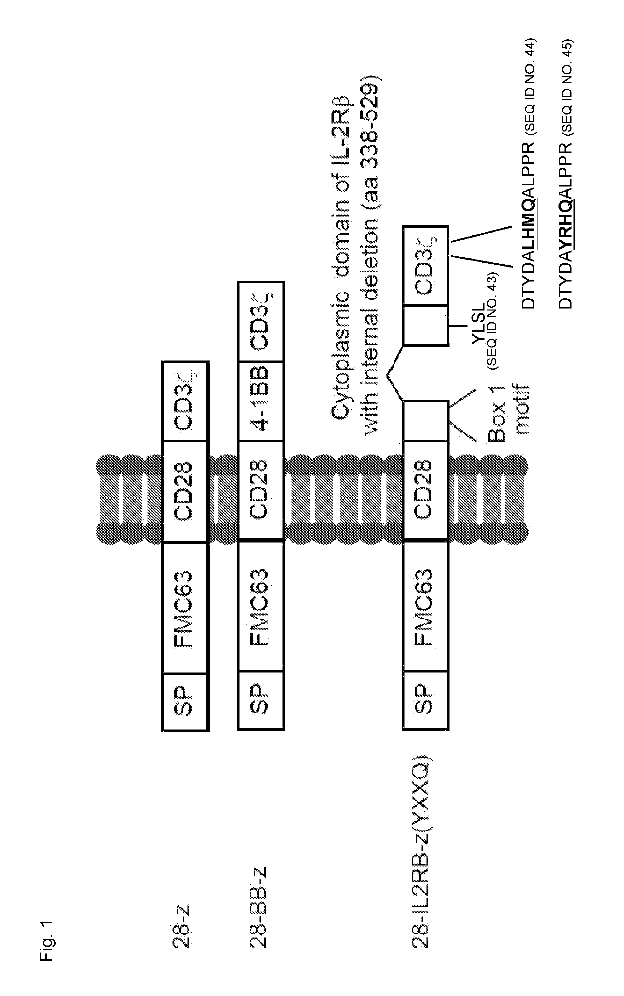 Chimeric antigen receptors, encoding nucleic acids and methods of use thereof